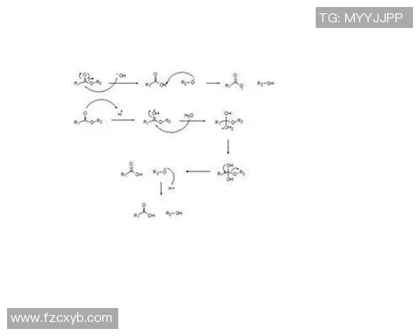广州羽毛球队的节奏体系与战术运用探讨及其对比赛胜负的影响分析 广州羽毛球队的节奏体系与战术运用探讨及其对比赛胜负的影响分析
