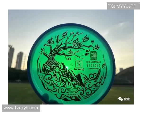 飞盘新手必看：从零基础到竞技高手的全面入门指南